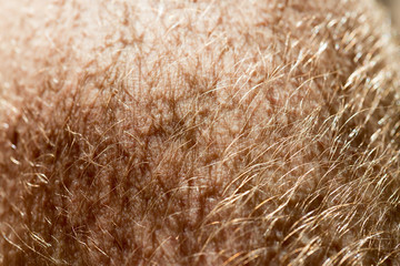 human skin texture