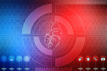 2d illustration  Anatomy of Human Heart 