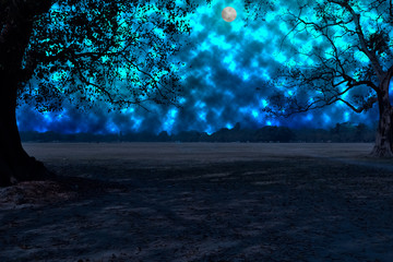 Night background sky.  The photo is generated from a camera photo using image processing software. It consist 8 layers.