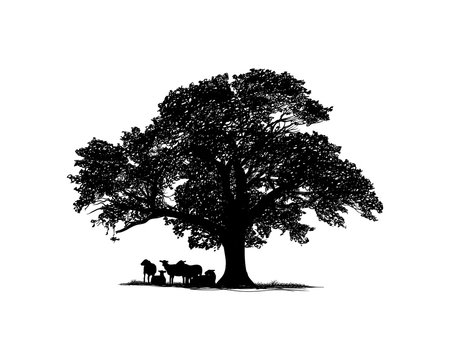 Oak Tree with Goat Cattle on the Bottom Illustration Hand Drawing Symbol Logo Vector
