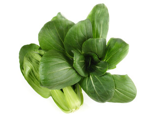 Kohl - Pak Choi