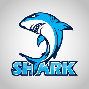 Cartoon shark mascot on gray background