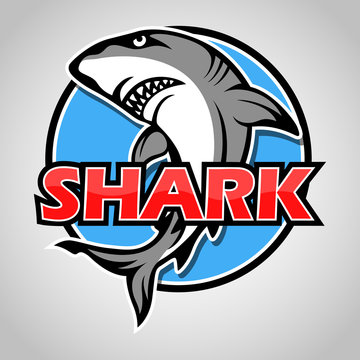 Cartoon shark mascot with blue circle on gray background