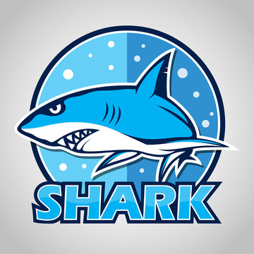 Cartoon shark mascot with blue circle
