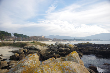 Fototapeta na wymiar Atlantic flora near Samil beach in Vigo, Vigo, Galicia, Spain