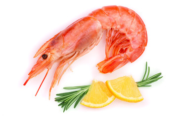 Red cooked prawn or shrimp with rosemary and lemon isolated on white background. Top view. Flat lay
