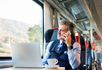 Mature businessman with smartphone travelling by train.