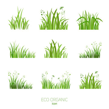 Set Eco green grass