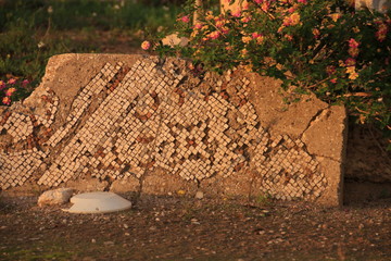 mosaïques romaines des ruines d'Al Bass à Tyr