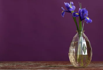 Papier Peint photo Iris still life with spring floweras in vase