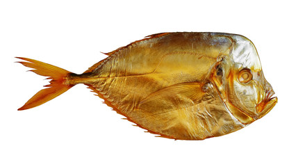 cold smoked moon fish isolated on white background