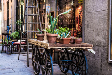 Bilder und Videos suchen: holzwagen