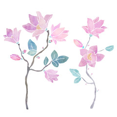 Hand painted floral watercolor set, magnolia branches ,flowers, leaves