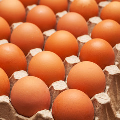 Fresh unbroken brown chicken eggs lie in a special cardboard tray