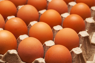 Fresh unbroken brown chicken eggs lie in a special cardboard tray