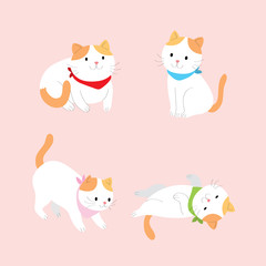 Cartoon cute actions orange and white cat vector. Pink background.