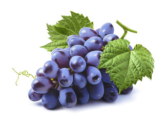 Bunch of blue grapes isolated on white background
