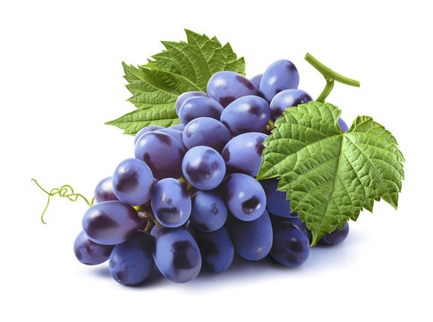 Bunch Of Blue Grapes Isolated On White Background