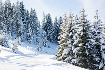 Fototapeta na wymiar Scenery winter snowy landscape in Austrian Apls in ski areal