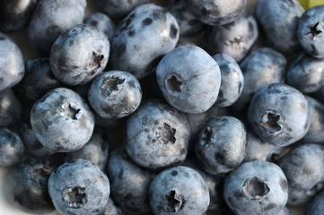 Blueberry berries form a background. Close-up. Macro photography.