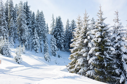 Scenery winter snowy landscape in Austrian Apls in ski areal