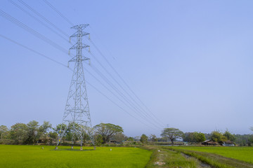 high volt pole in rice paddies.