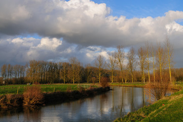Late Afternoon in East Flanders