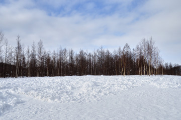hokkaido Japan