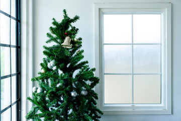 Tree christmas near the window