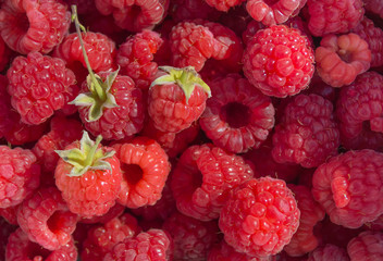 berries of a ripe raspberry in bulk, on an isolated background