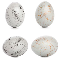 easter eggs isolated on white