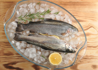 Two fresh river trout on slices of crushed ice. Next to the fish is a slice of lemon and a sprig of rosemary. View from above. Light wooden background.