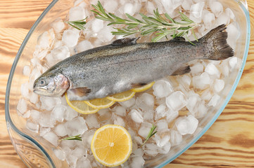 Fresh trout on chunks of crushed ice. In the belly of trout, there are slices of lemon and rosemary. Next to half a lemon and a sprig of rosemary. View from above. Close-up.