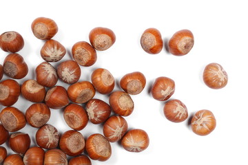 Hazelnuts isolated on white background, top view