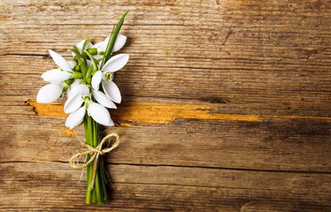 Snowdrop flowers on rustic wooden background