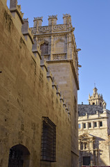 Fototapeta na wymiar Lateral facade of the historical building La Llotja, Valencia