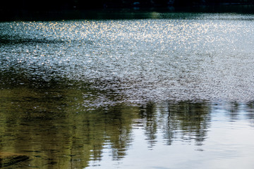 water surface in the sunshine