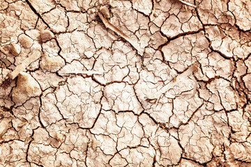Dry cracked earth, natural abstract background and texture