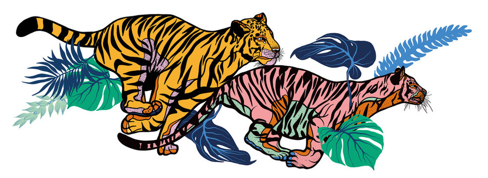 Running tigers with leaves isolated