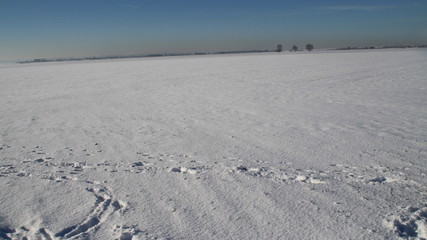 neige campagne polution paris 