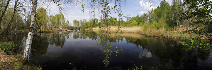 Moorsee im Pfrunger-Burgweiler Ried