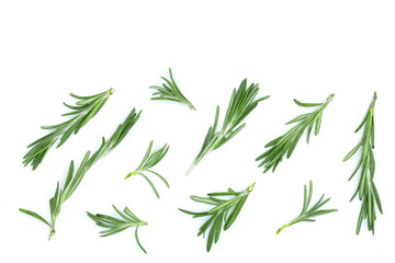 Fototapeta na wymiar Fresh green rosemary isolated on a white background with copy space for your text. Top view. Flat lay