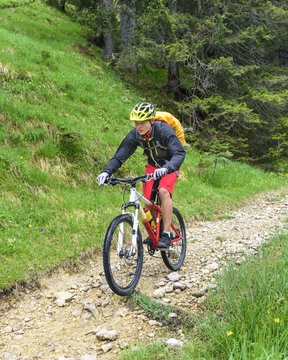 Mountainbiker auf einem Trail