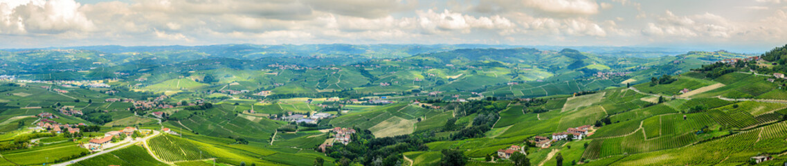 Fototapeta na wymiar wide angle panoramic view of langhe hills, unesco heritage, on summer.