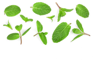 fresh green mint leaves isolated on white background with copy space for your text, top view. Flat lay