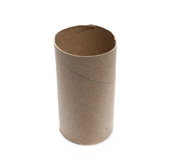 Empty cardboard toilet paper roll isolated on white background