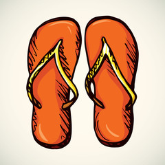 Slippers. Vector drawing