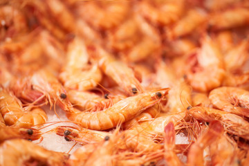 A lot of fresh raw shrimps