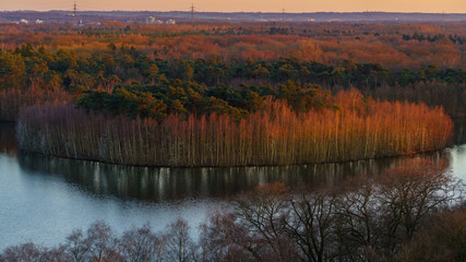 Evening light in the winter at the Haubachsee, Duisburg, North Rhine-Westphalia, Germany