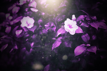 Fototapeta na wymiar Ultra Violet background made of fresh green leaves. Green dynamic backdrop for your design.